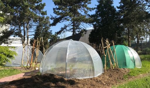 serres igloo pédagogique lycée lille