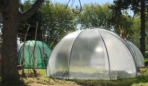 serre igloo potager pédagogique