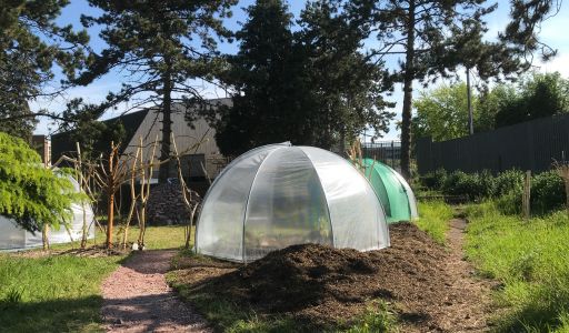 potager pédagogique lycée Pasteur