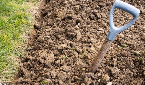 plantations mois d'avril