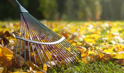 préparation jardin toussaint