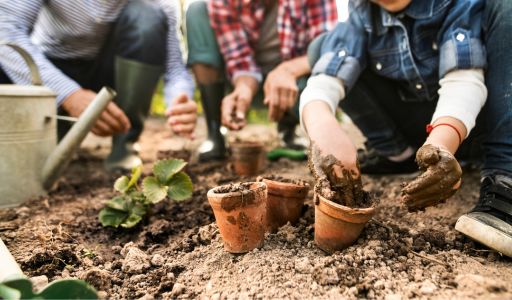 toussaint transmission enfant