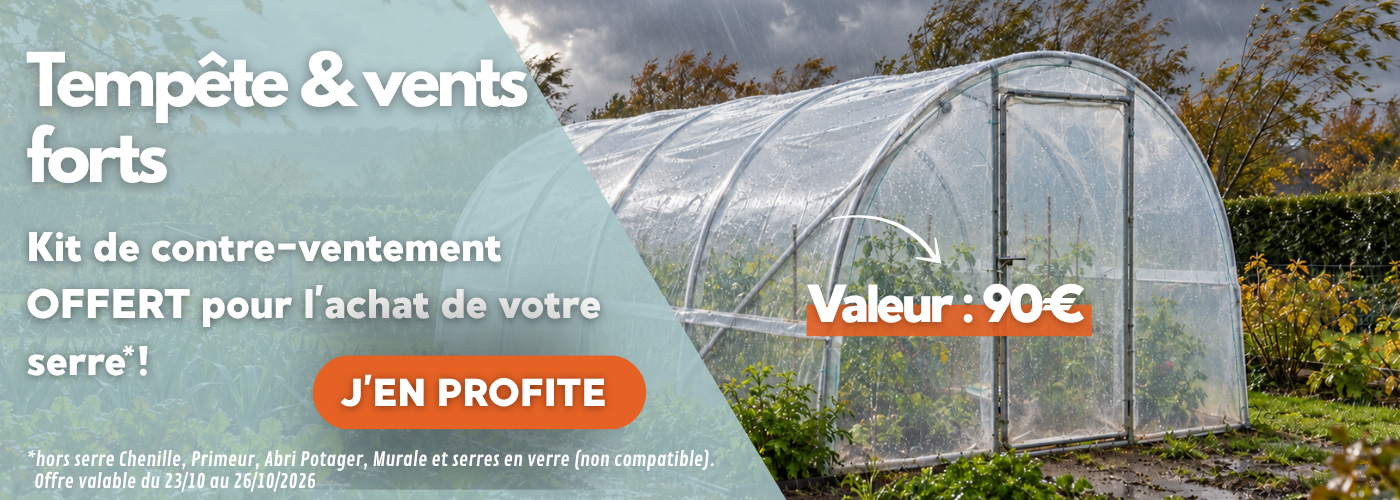 Serre tunnel renforcée par des bracons dans un potager sous la pluie et le vent