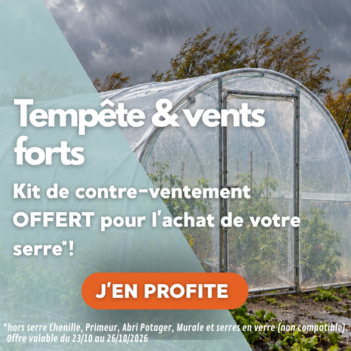 Serre tunnel renforcée par des bracons dans un potager sous la pluie et le vent