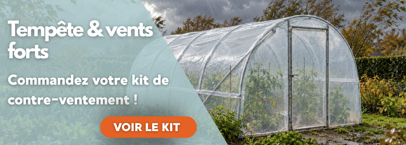 Serre tunnel renforcée par des bracons dans un potager sous la pluie et le vent
