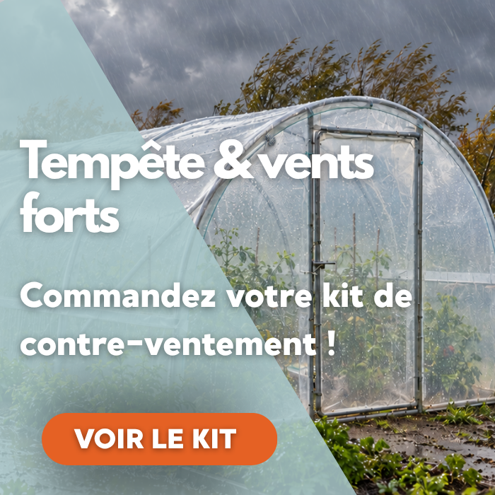 Serre tunnel renforcée par des bracons dans un potager sous la pluie et le vent