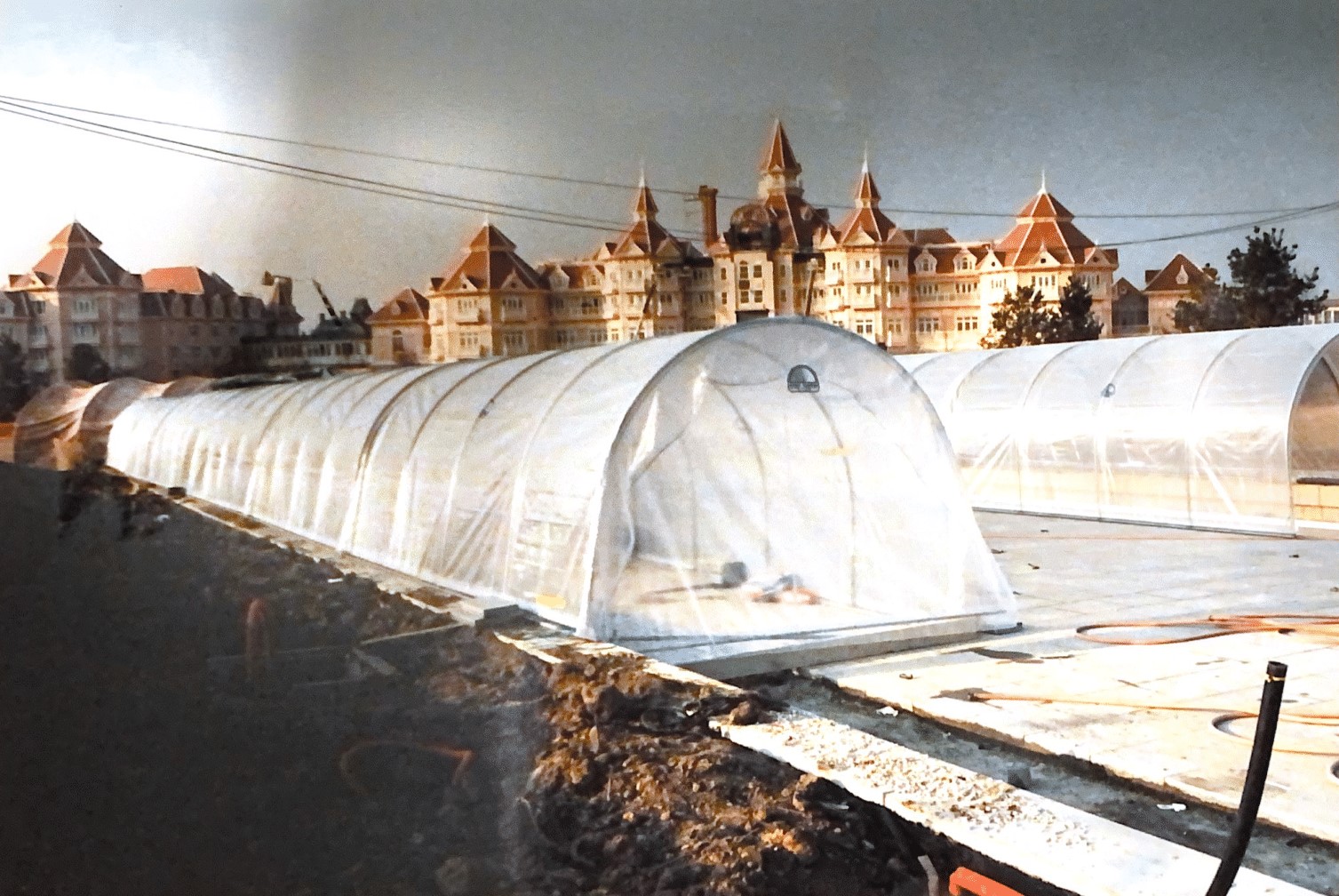 Construction de serres pour Euro Disney à Marne-la-Vallée