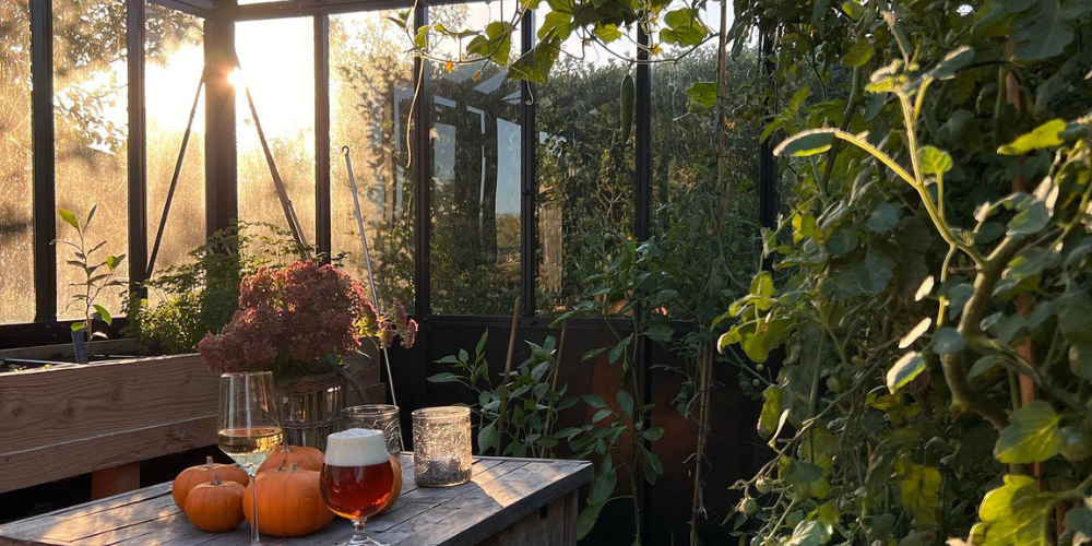 serre en verre automne