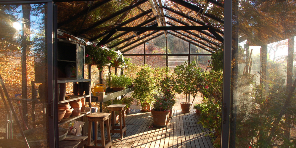 serre en verre cultures
