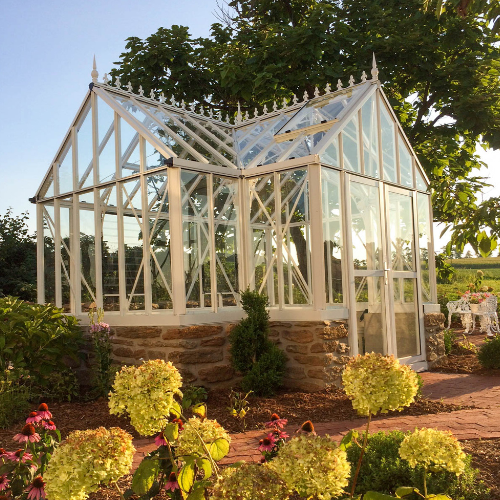 serre en verre forme T