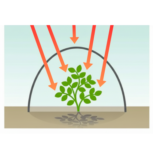 Polyéthylène thermique cristal face