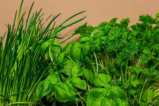 Cultivez vos propres herbes aromatiques en balconnière