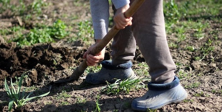 Comment monter une serre maraîchère ? Les 8 étapes