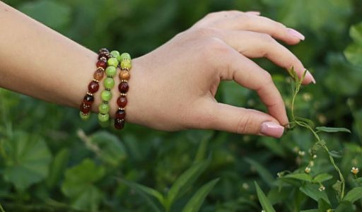 Découvrez Mimosa pudica, la plante sensible au toucher