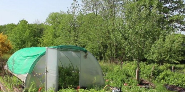 Permaculture : appliquer le concept  dans une serre 