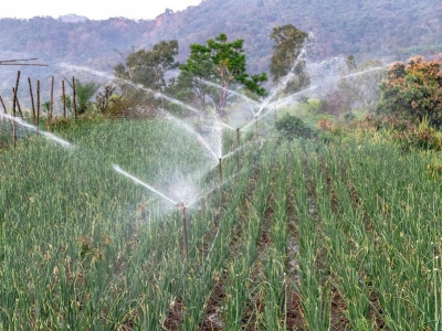 Mettre en place un Arrosage par Aspersion : quel intérêt ?