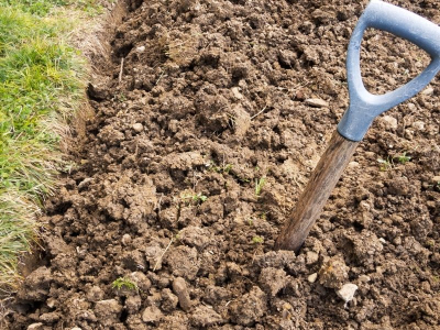 Terre argileuse : comment l'améliorer pour votre potager ?