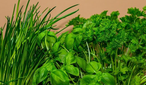 Plantes aromatiques : pourquoi vous devez absolument en planter