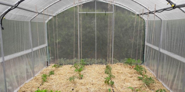 SERRE MODÈLE 4 SAISONS AVEC AÉRATIONS