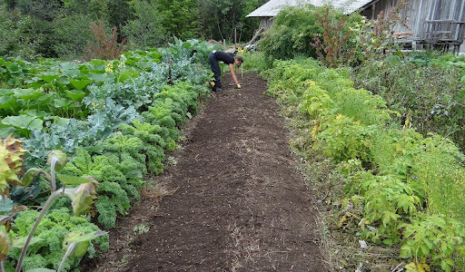 Toile de jardin : dans quels cas l’utiliser ?