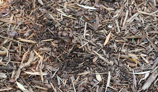 Les inconvénients du paillage : les connaître pour mieux pailler