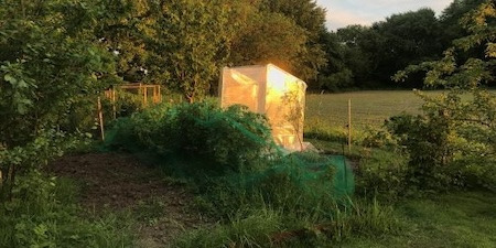 Temps de montage d’une serre : à quoi s’attendre ?